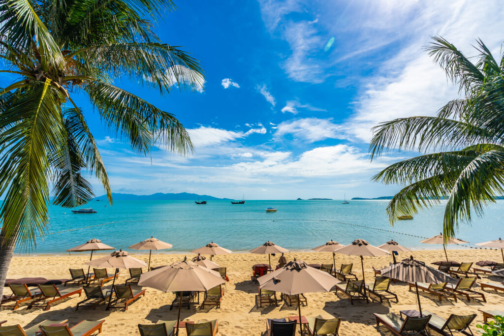 ile maurice que faire​